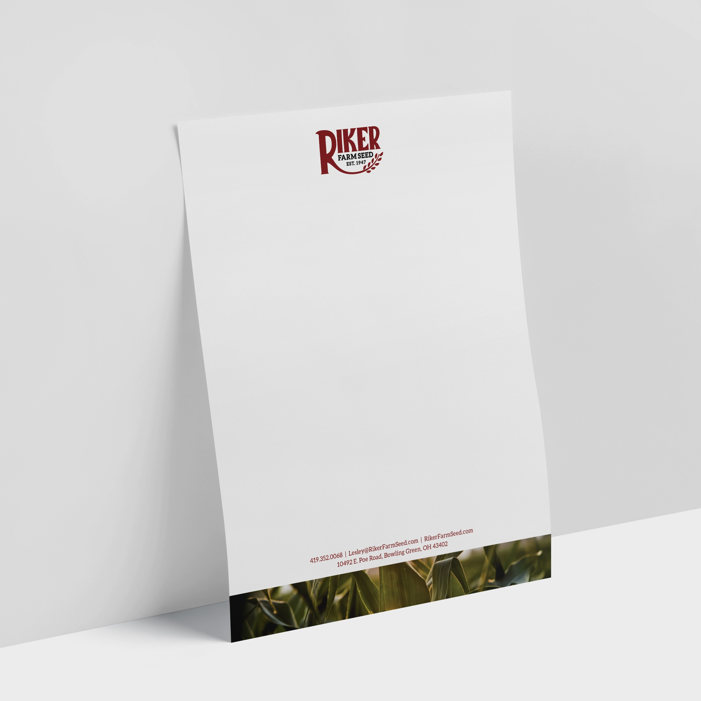 Dental Innovations Letterhead Design by Bizzybee Marketing